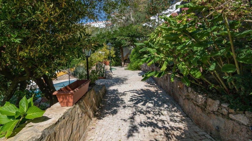 A beautiful garden, perfect to enjoy the morning breeze.
#garden #outdoor #portugal #pt #sintra