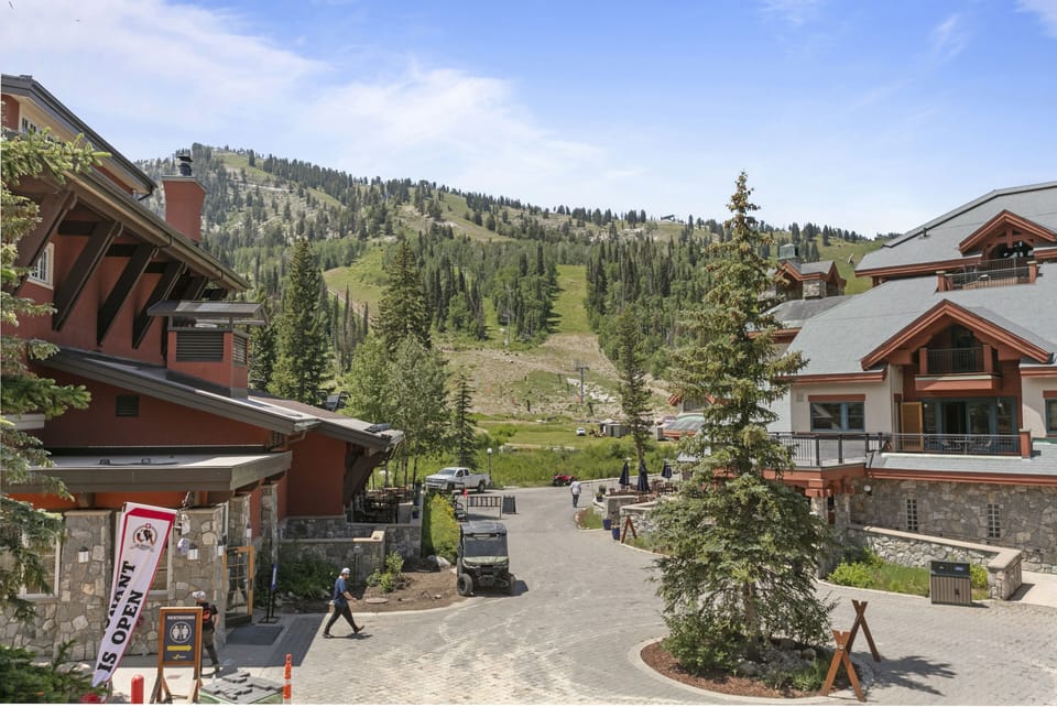 Tree, Fir, Person, Neighborhood, Building