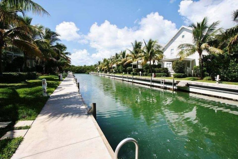 Dock area.