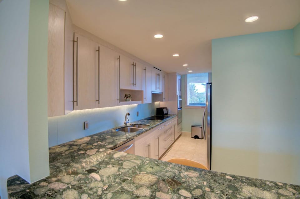 Recessed lighting brightens the galley kitchen, featuring stainless steel appliances and under-cabinet illumination.