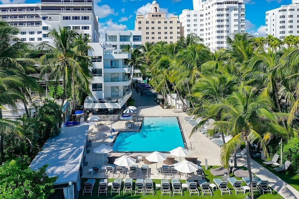 Lounge under palms around a sunlit, inviting pool deck.