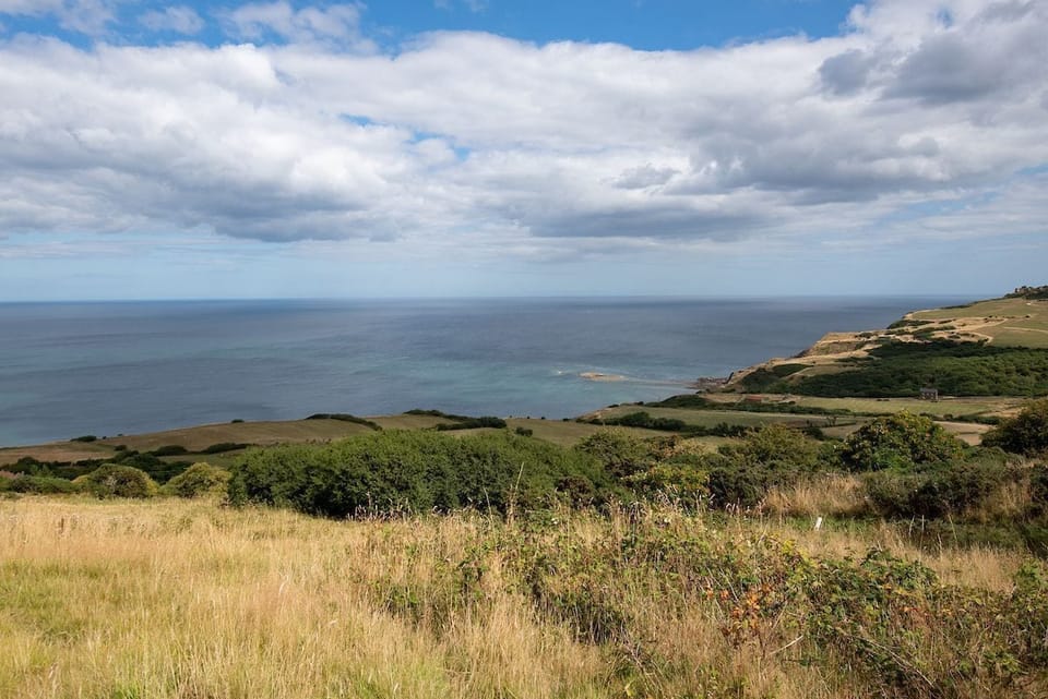 Bay View Cottage - views over to the rocky outcrop where the seal colony resides