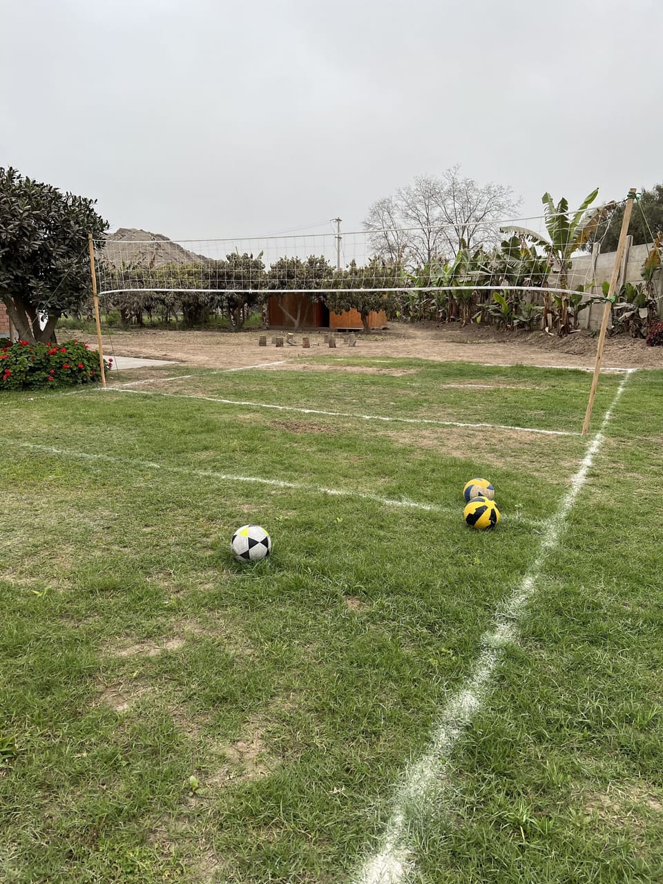 Sport court