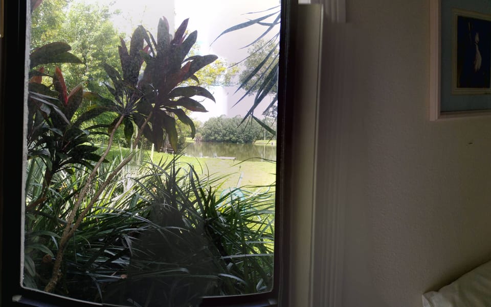 direct view of lake from studio