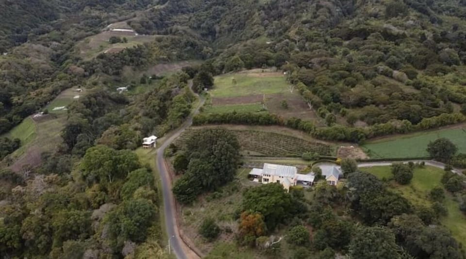 Overhead view of farm