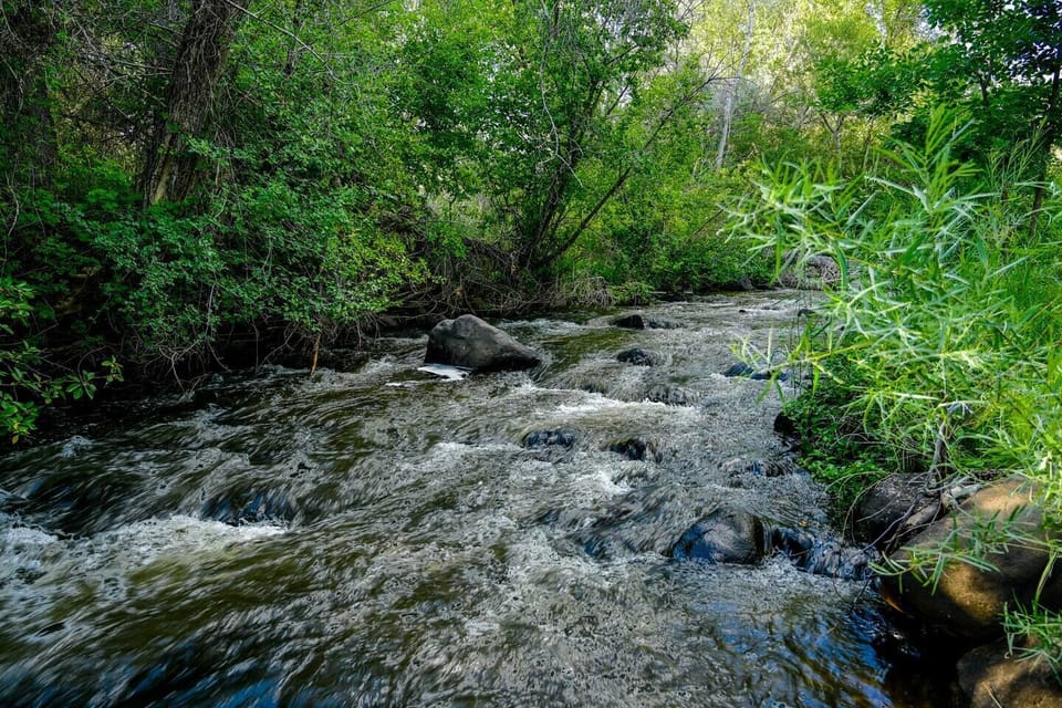 The beautiful sounds of Surface Creek are directly behind the house. 