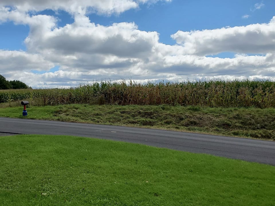 View of fields across the road
