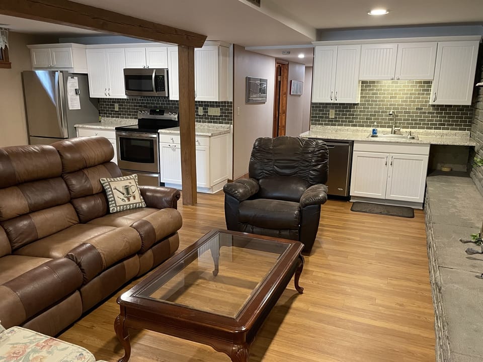 Living area and kitchen
