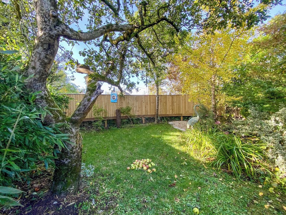 Garden | The Nest, Neston, near Corsham