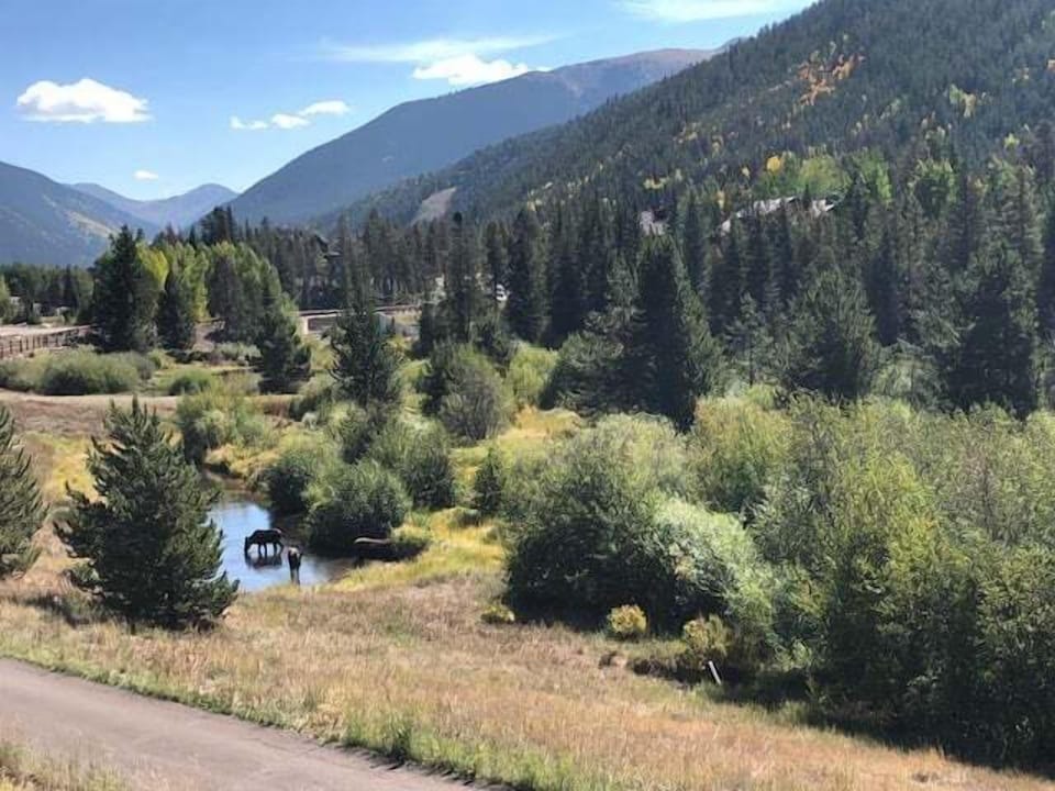 West Keystone provides the serenity of nature with wildlife present