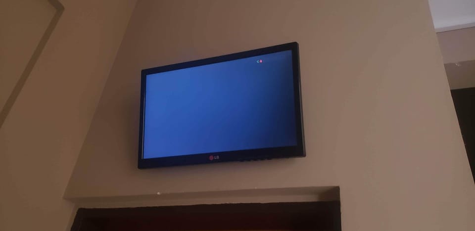 Television