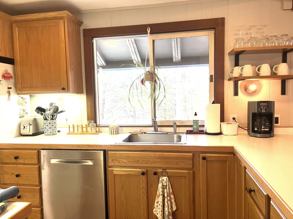 Dishwasher with detergent provided