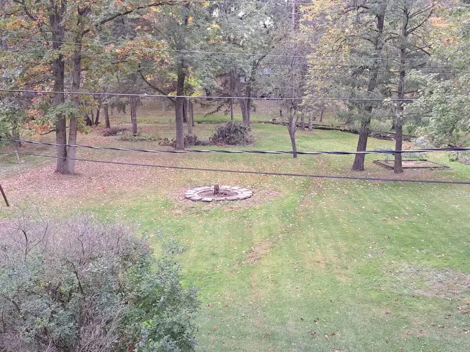 Backyard view from living room