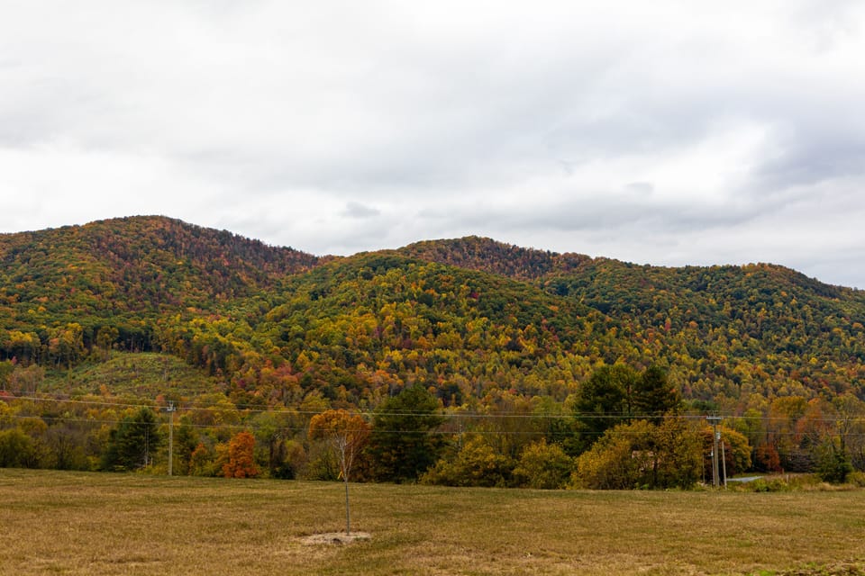 You can't beat the mountain views here, and NO steep mountain roads! 