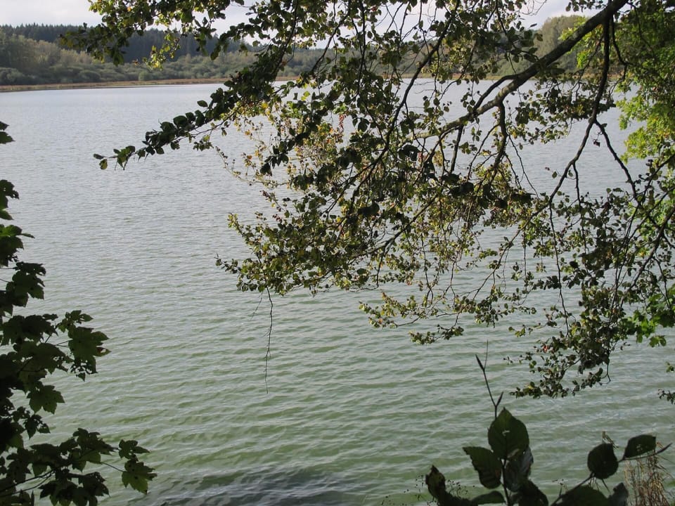 Area that directly surrounds the property
