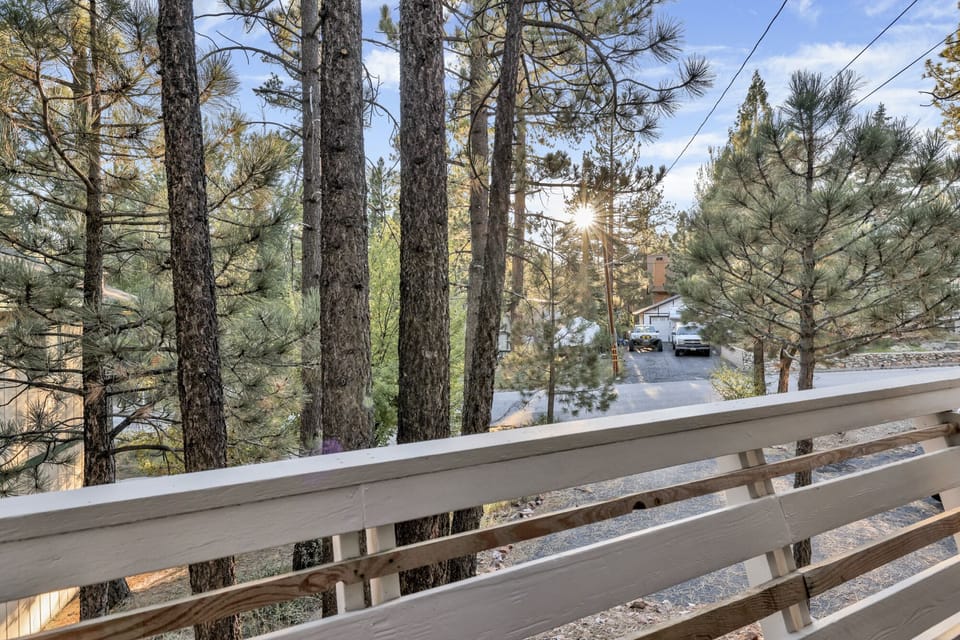 Private outdoor area, surrounded by tall pines, perfect for relaxing under the trees after a day of adventure—enjoy peaceful forest views, fresh air, and a truly rejuvenating stay.