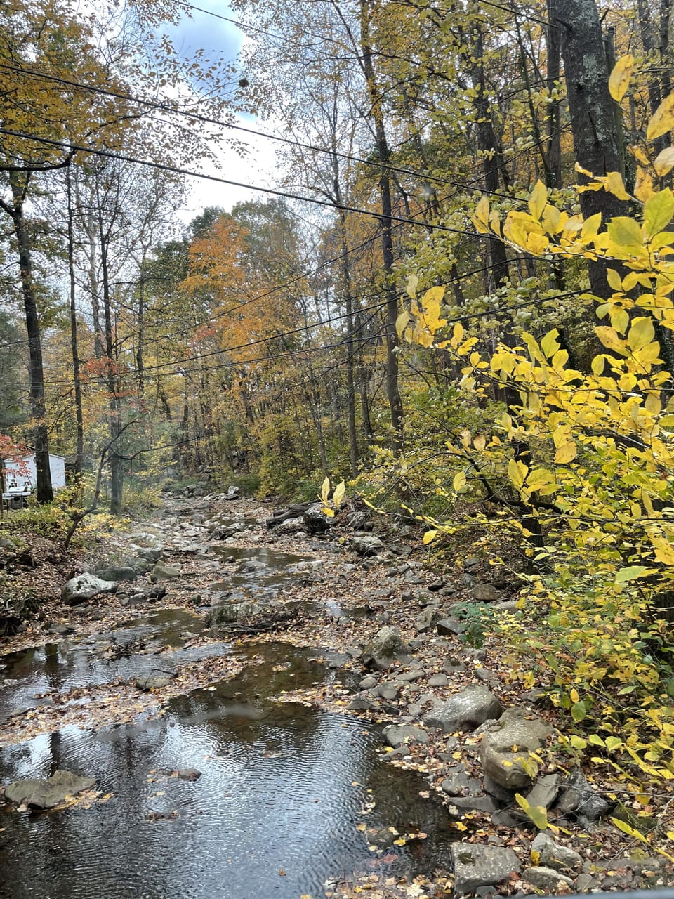 Black Run meets Dry River in the front corner of the property.