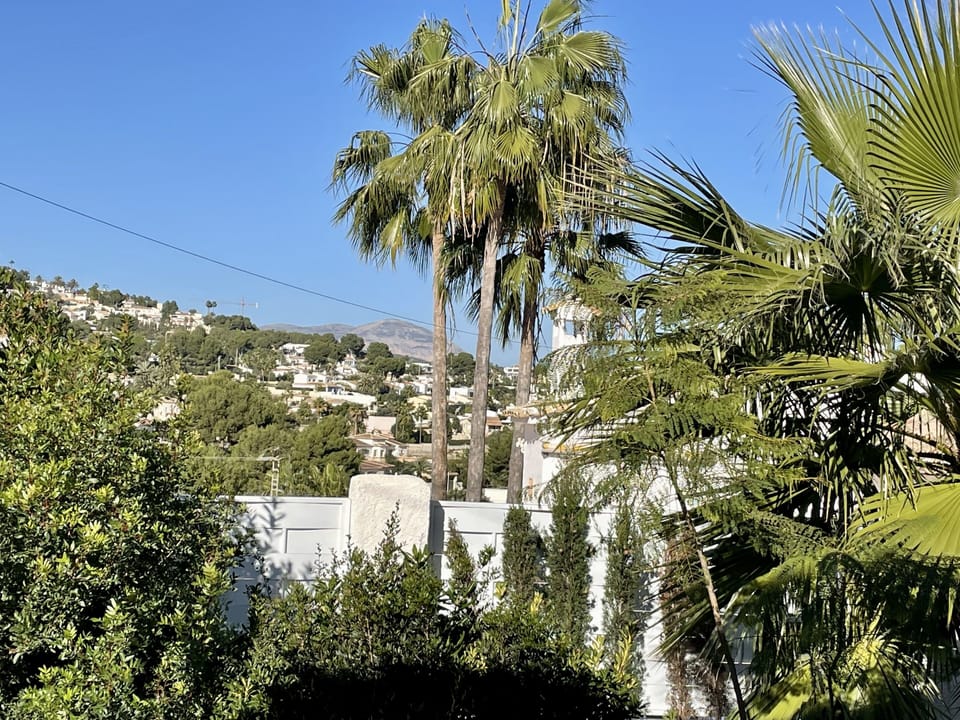 View from the lounge