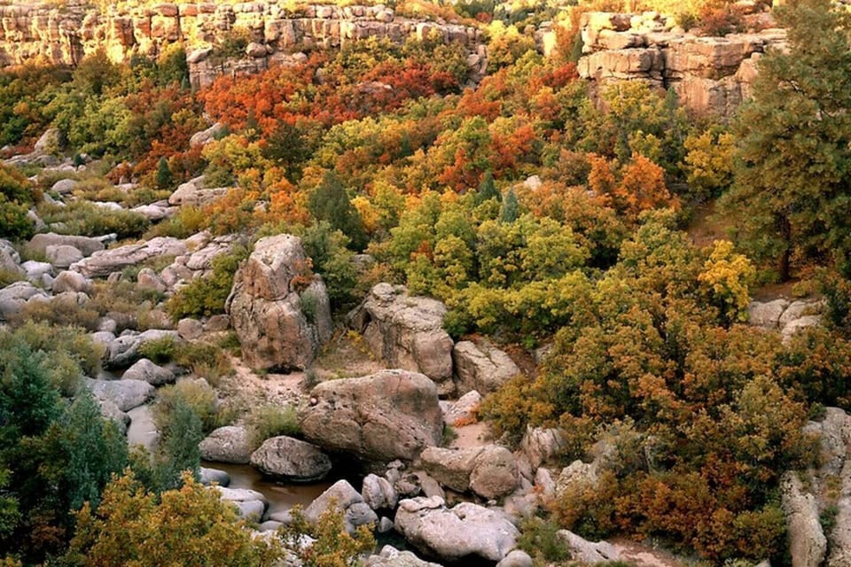 Hike at Castlewood Canyon State Park to discover many different landscapes and views which bring you atop the canyon down to the water! The park includes creeks, trees, prairies, well-marked trails, and clean facilities. Located half an hour away!