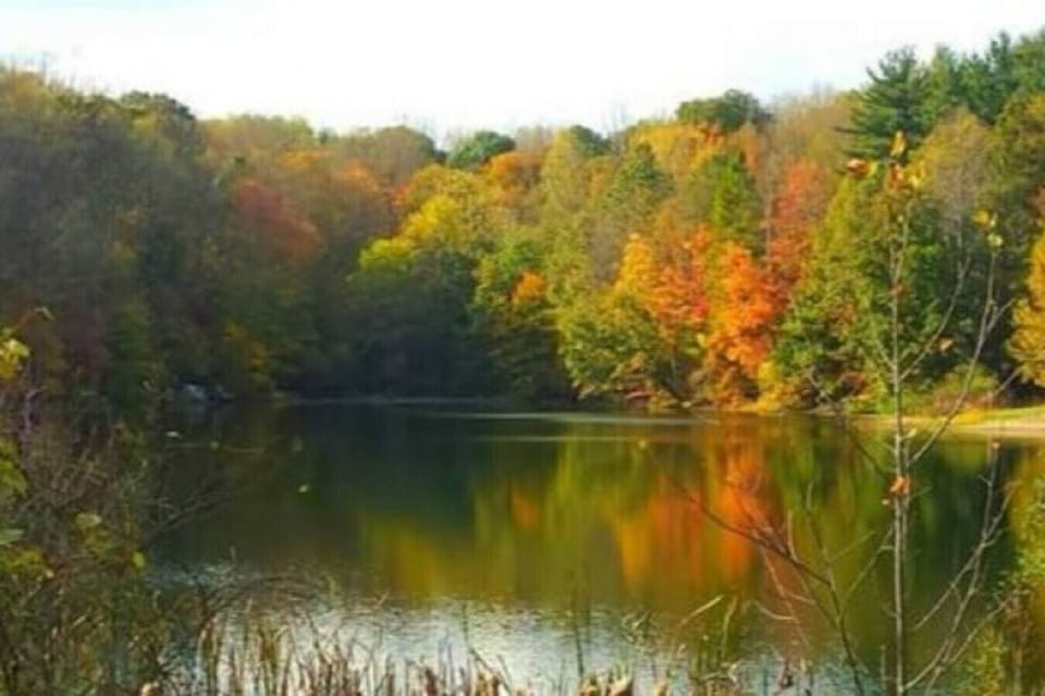 Access to private community lake with beach, swimming area and fishing. 7 minute drive from cabin.