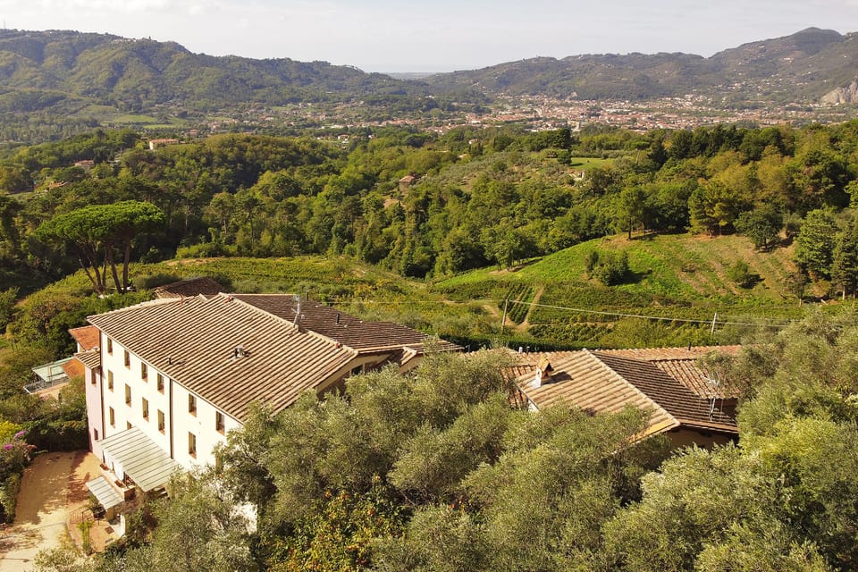 The whole property and the wide view on the valley till to the sea