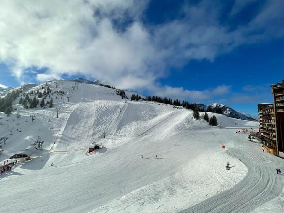 Snow and ski sports