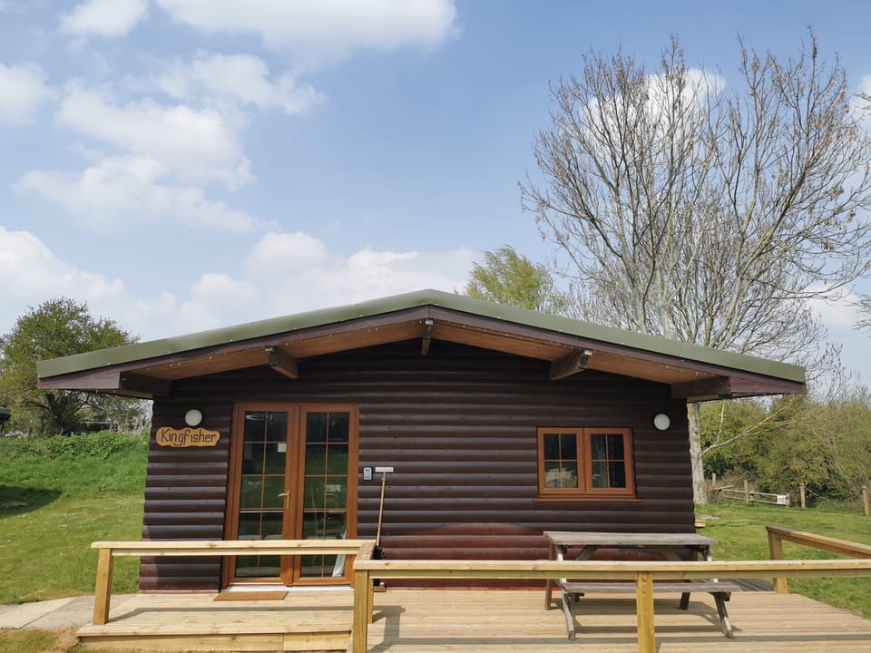 Kingfisher Front View