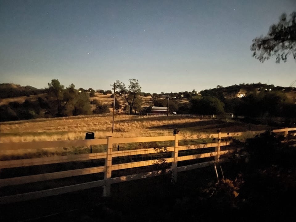 Dusk over the pasture