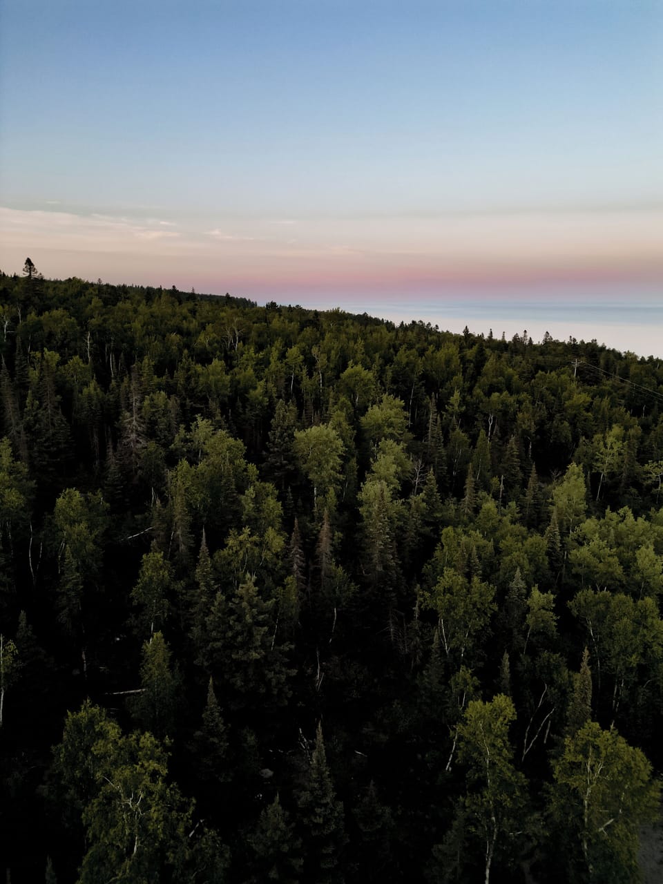 Surrounding lake and forest
