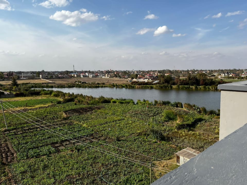 View from property