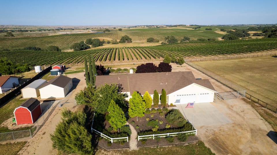 Pinot Paradise. The Yellow House.