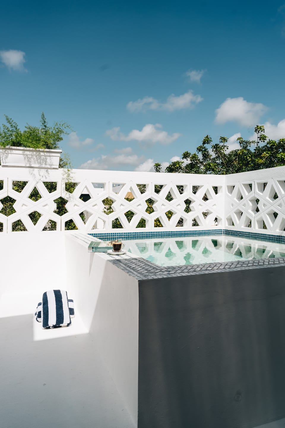 Cool off in the private rooftop plunge pool