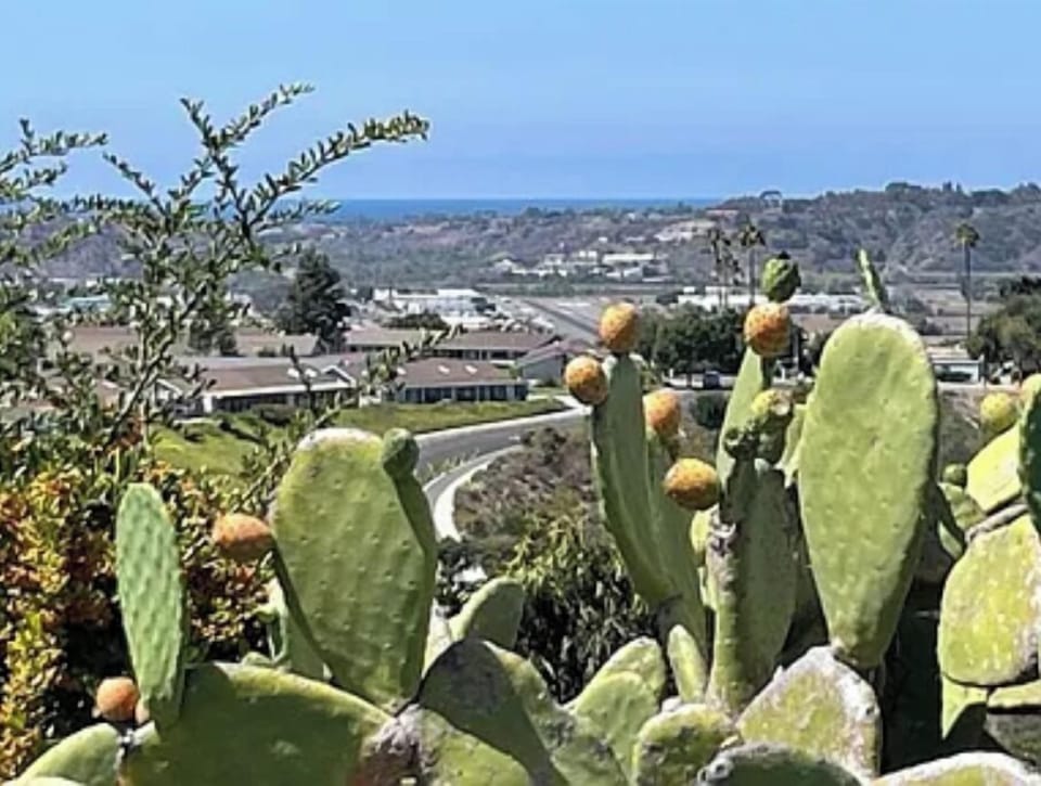 One of Several Scenic Overlooks..View to Ocean

