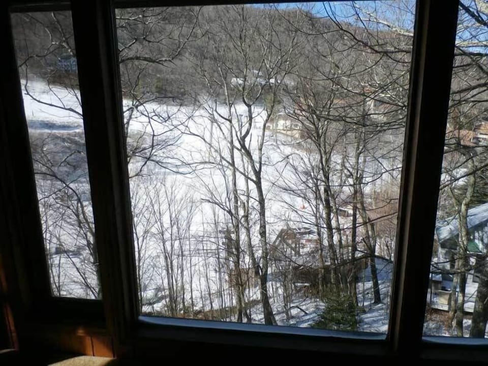 Snowy view from window, overlooking hillside and forest.
