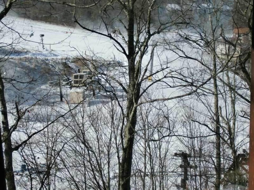 View from main level windows, overlooking slopes and resort.
