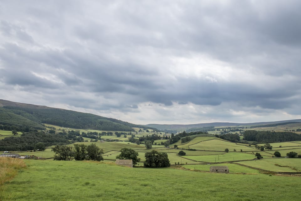 Local views