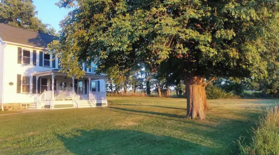 The front yard.