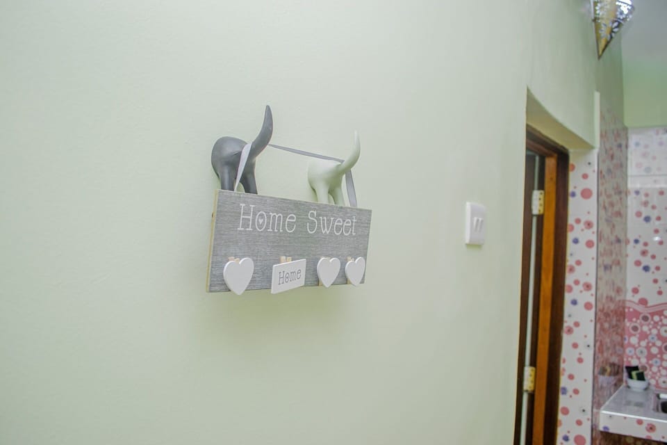 Kitchen Hanging Hooks