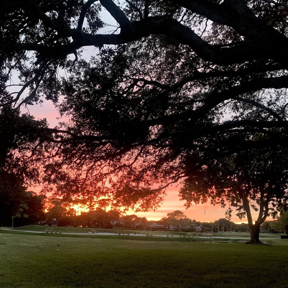 Sunset from the back yard area 