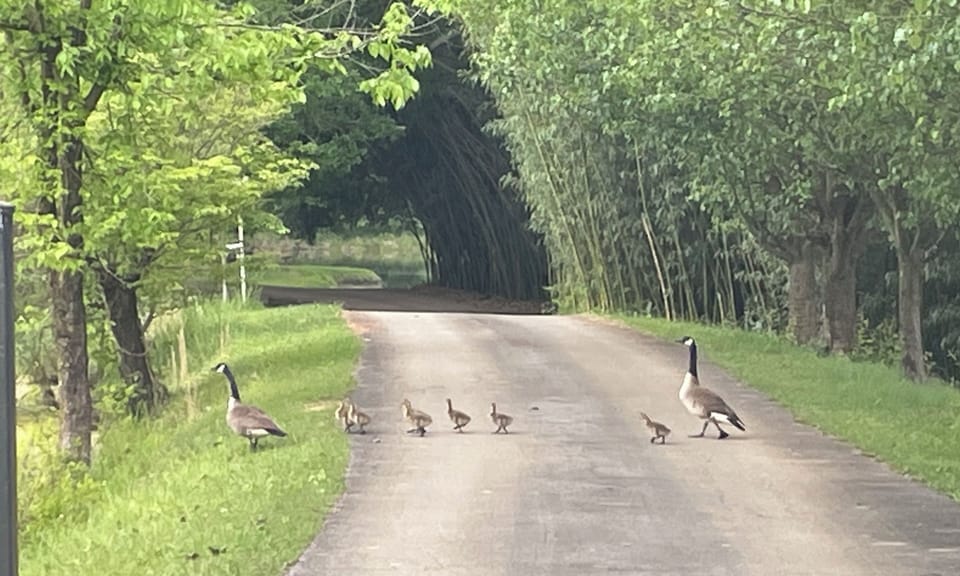 It’s that time of year.