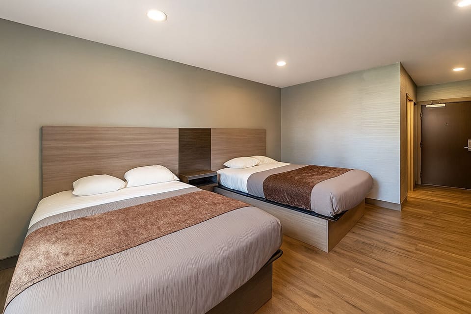 Unwind in a bright double room with plush beds.