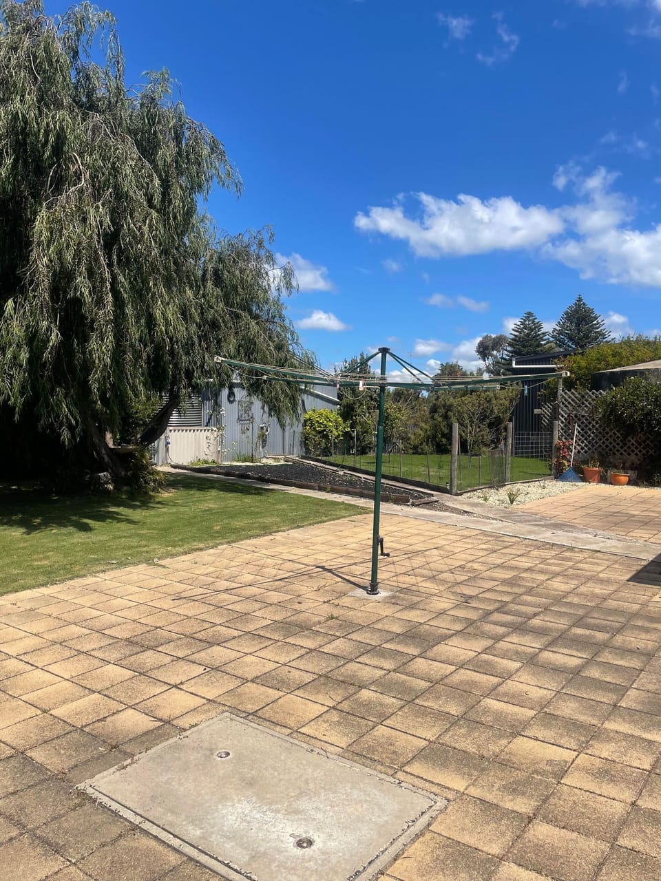 back yard