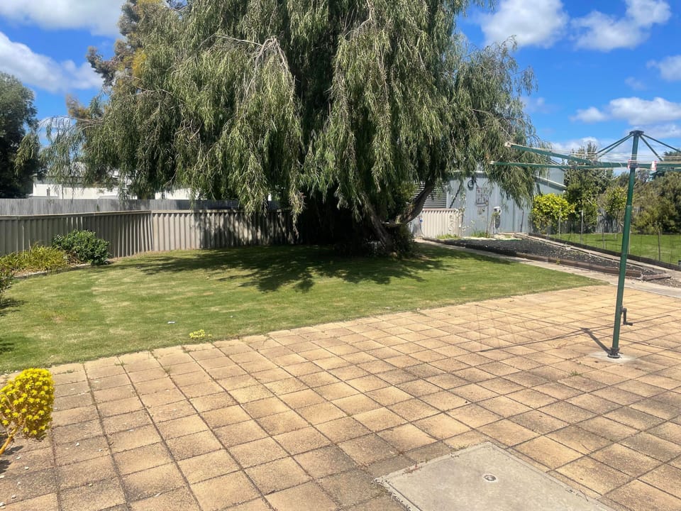back yard