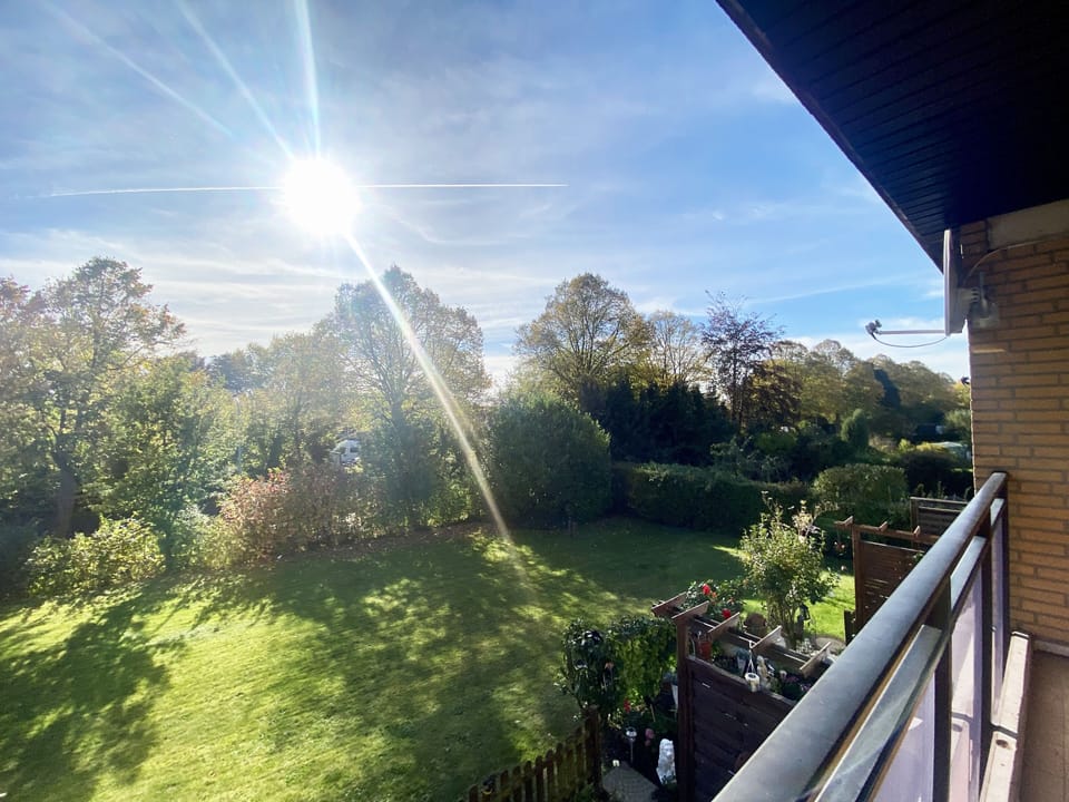 Garden view