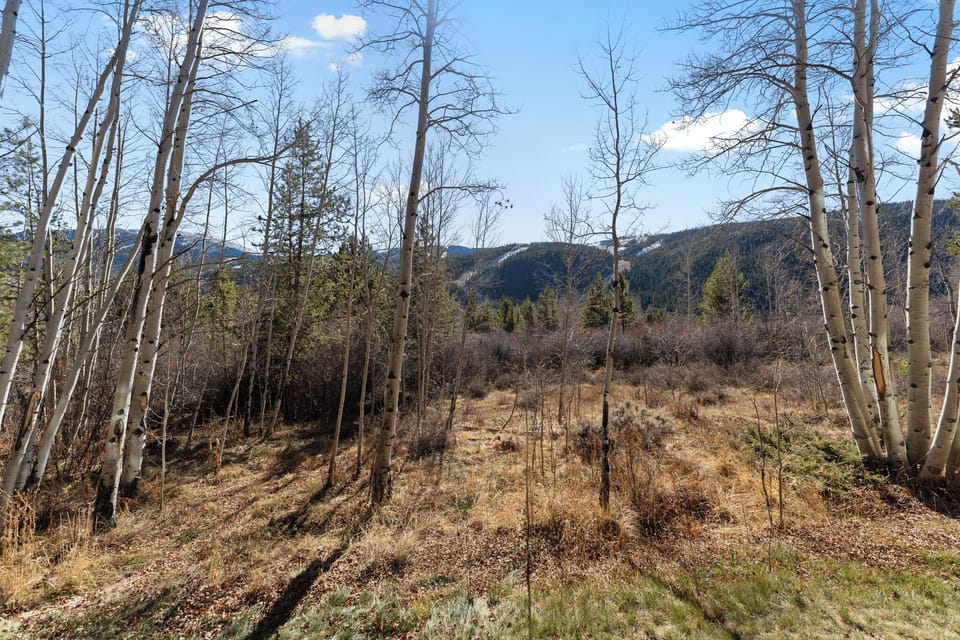 Mountain landscape surrounded by aspen trees and forest trails in the area.