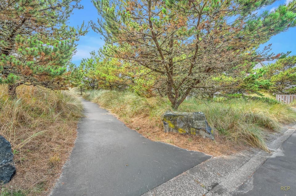 walking trail