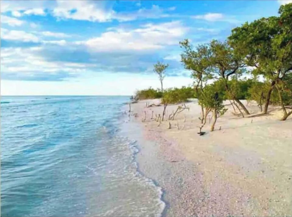 Honeymoon Island
