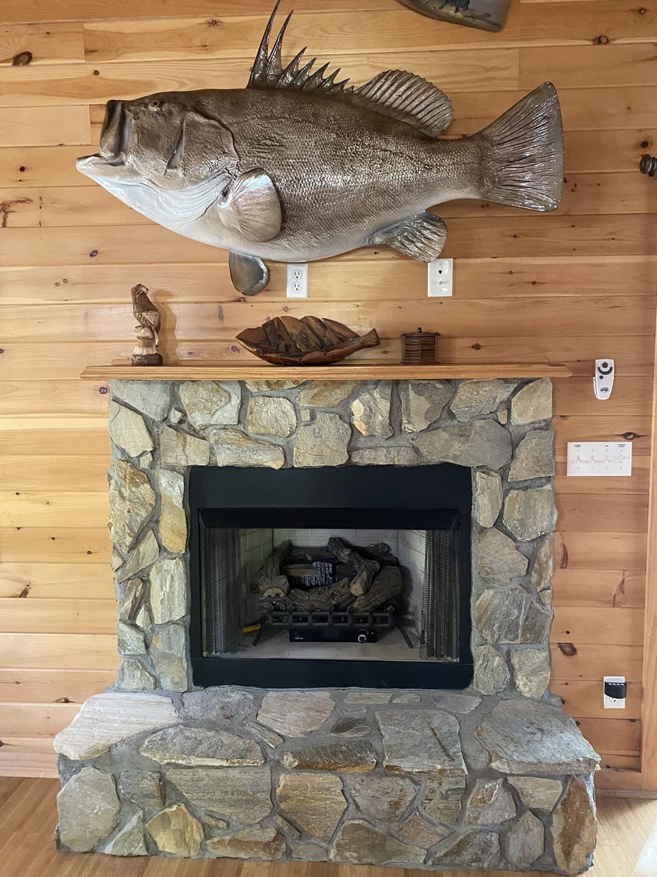 Living room fireplace