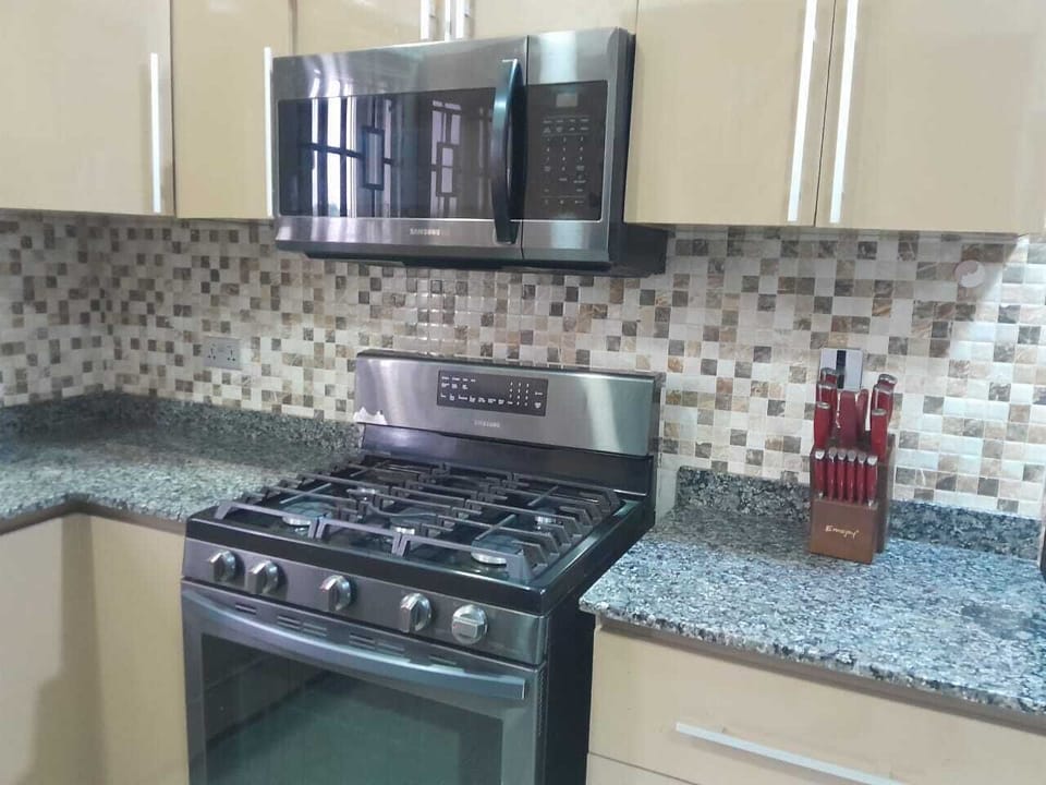 Self-cleaning convection oven and microwave extractor 