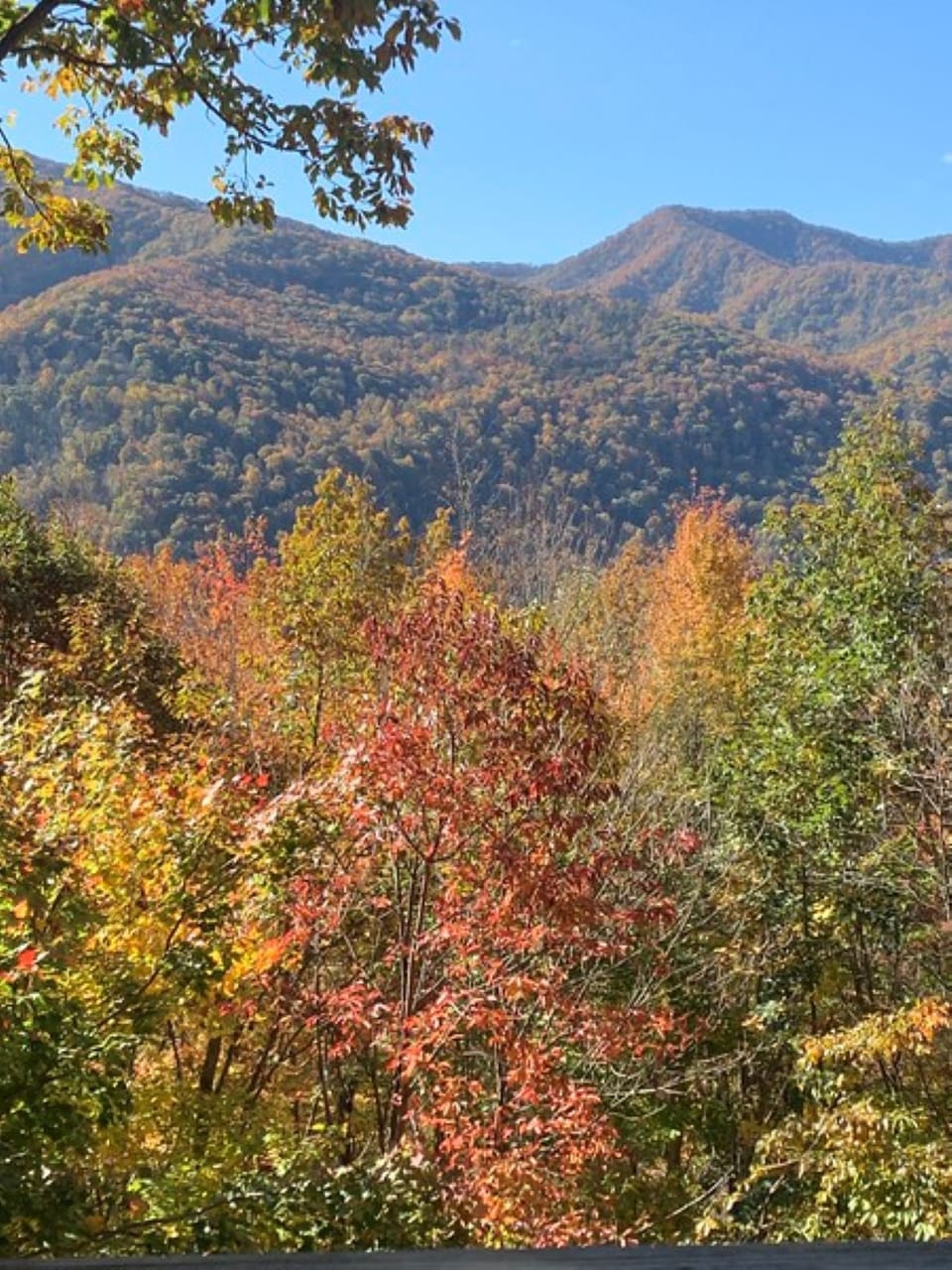 A fall day in the Valley